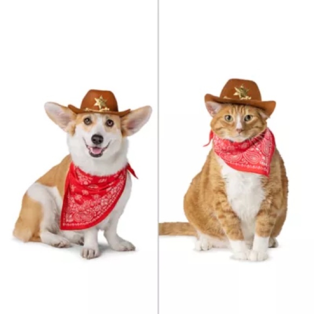 PetSmart Thrills & Chills Cowboy Hat Bandana Dog Cat Costume L/XL